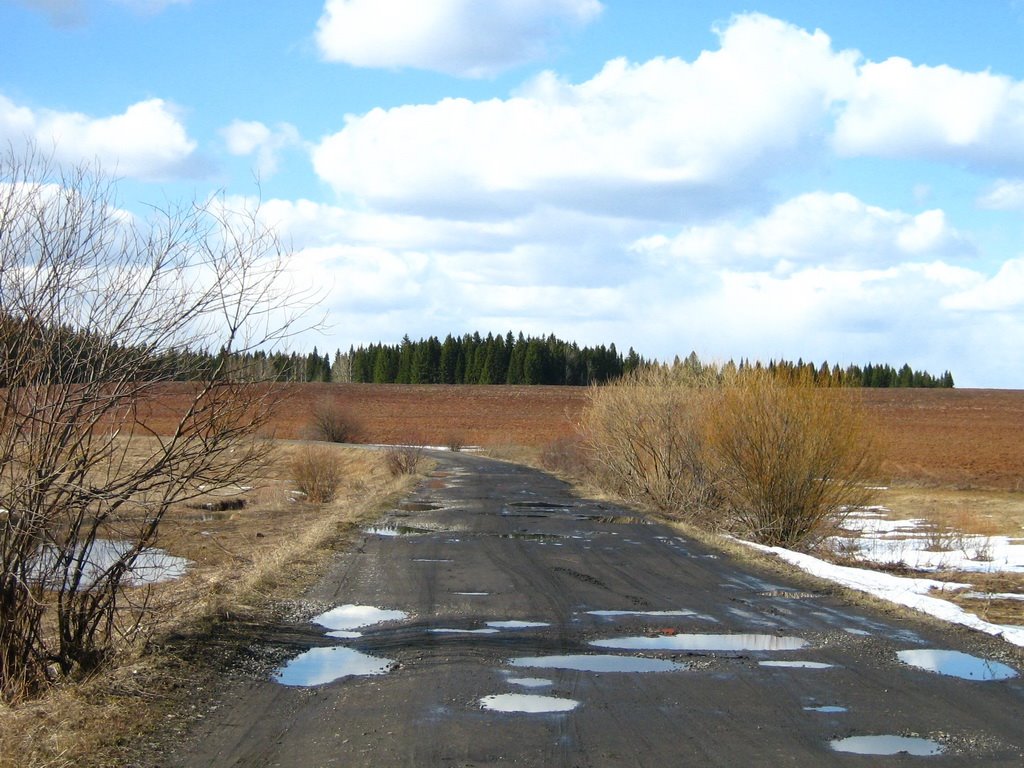 Дорога на п.Вахруши, Богородское