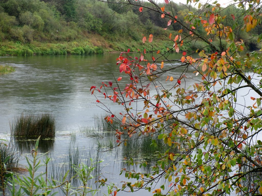 Река Чепца, сентябрь, Богородское