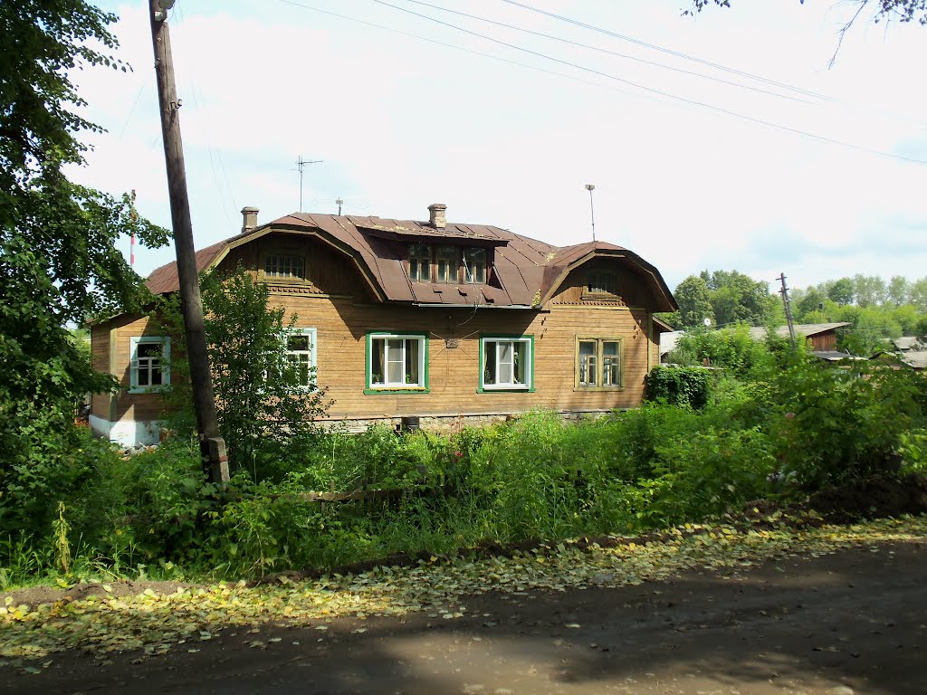 Один из домов-близнецов, Зуевка