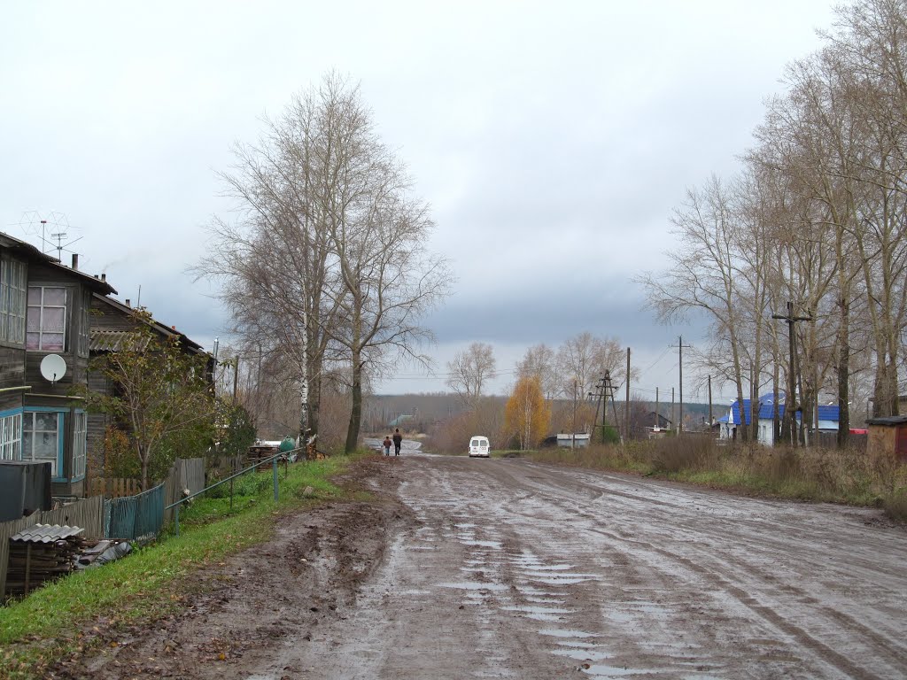 МКОУ ДОД Детско-юношеская спортивная школа г. Зуевка, спортивная школа, Восточна