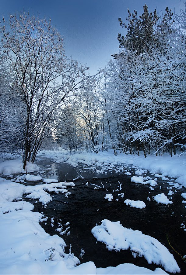 Морозный ручей в лесу за околицей, Кирс