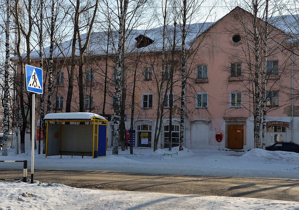 переход через ул.Кирова к ТЦ Берёзка, Кирс