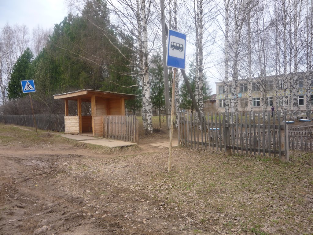 Остановка и средняя школа с. Кобра Даровской район 2012, Кобра