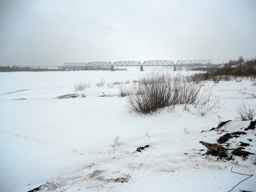 Вид на железнодорожный мост с берега, Котельнич