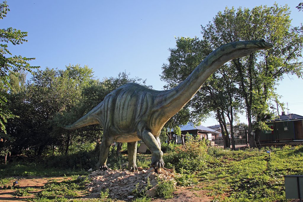 Апатозавр, Котельнич