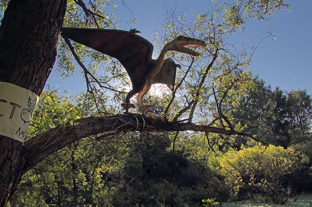 Птерозавр в "Динопарке" в Котельниче, Котельнич