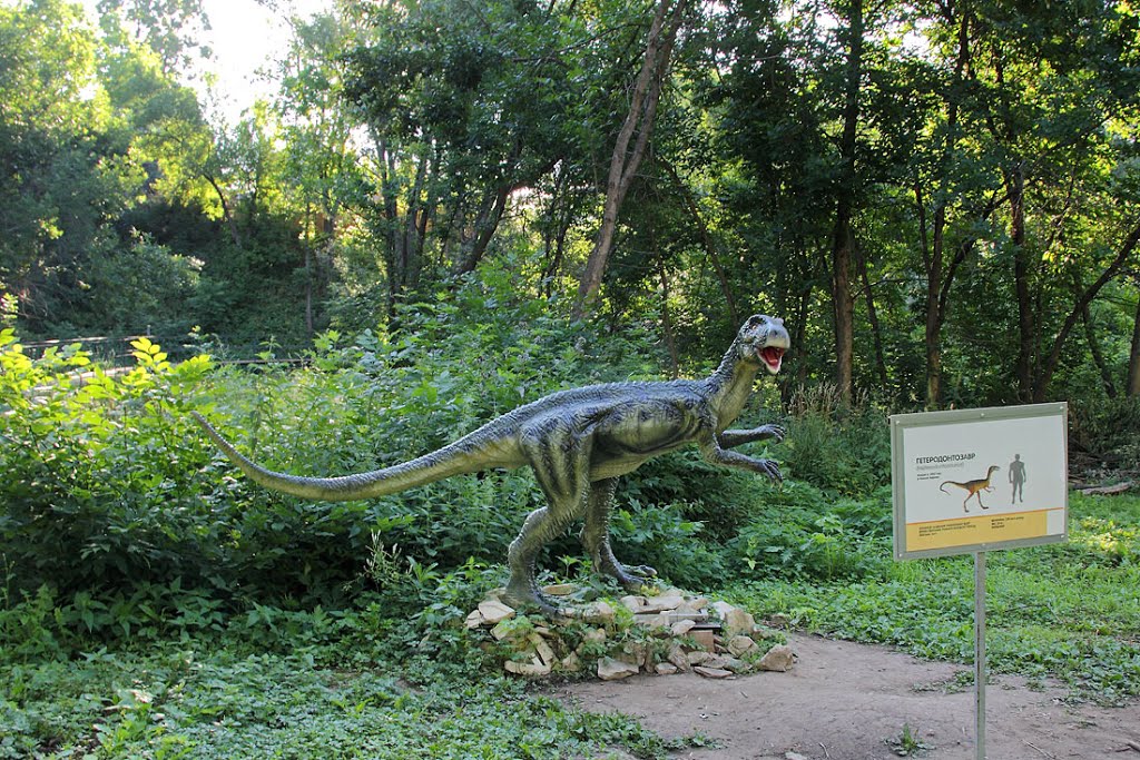 Гетеродонтозавр в Котельниче, Котельнич