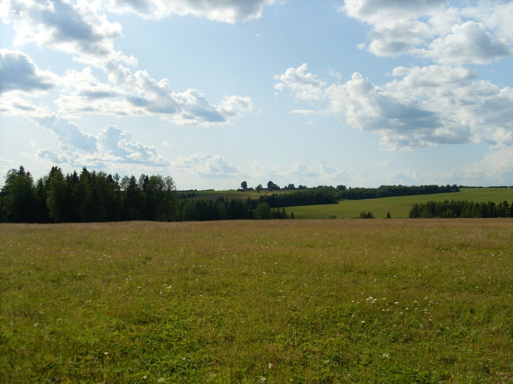 Вид на деревню Волчата, Нагорск