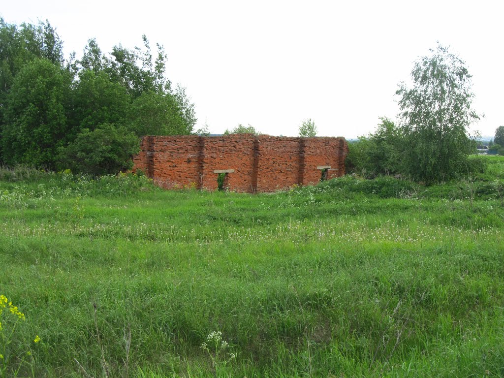 Стена, Нововятск