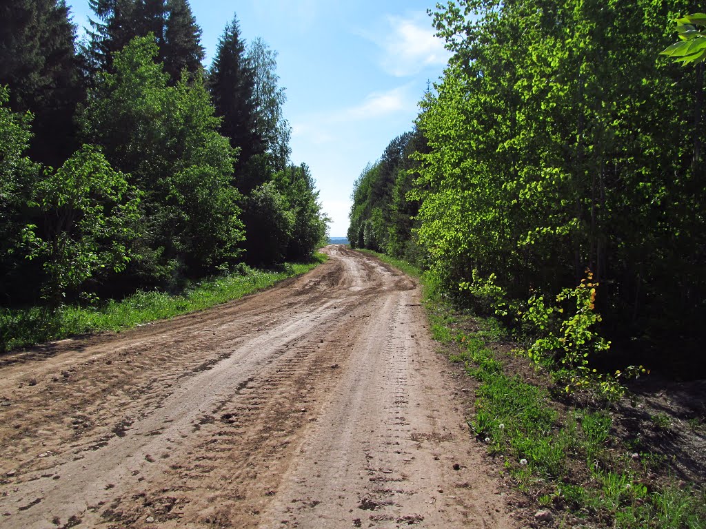 Дорога по вершине холма, Нововятск