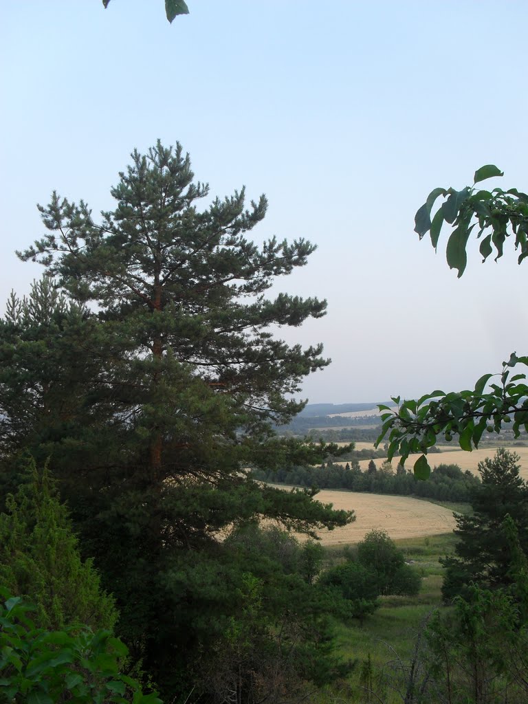 From Hill, Нолинск