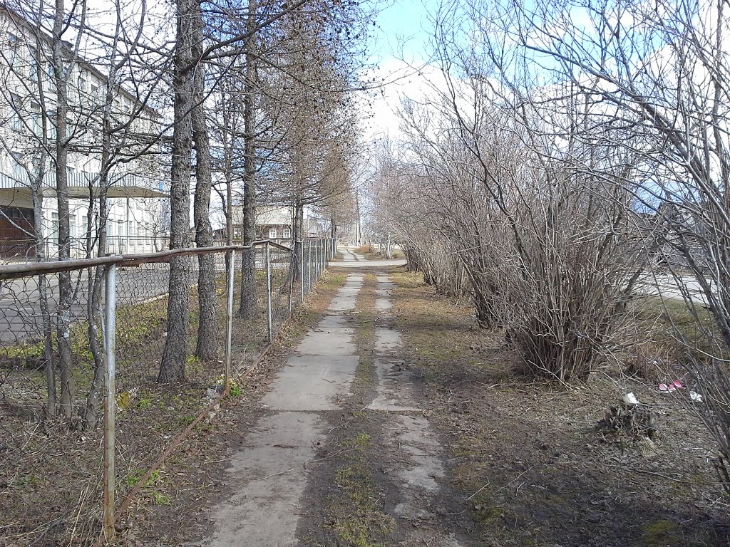 Spring grief - Footpath near school, Опарино