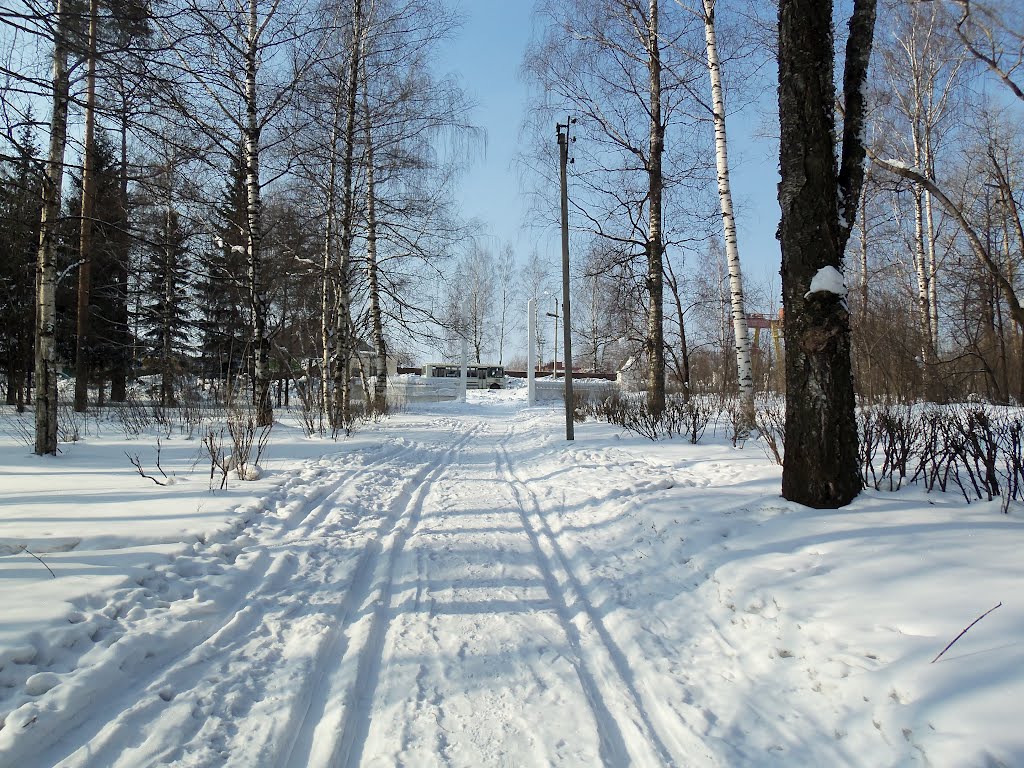 Ворота ПКиО, Слободской