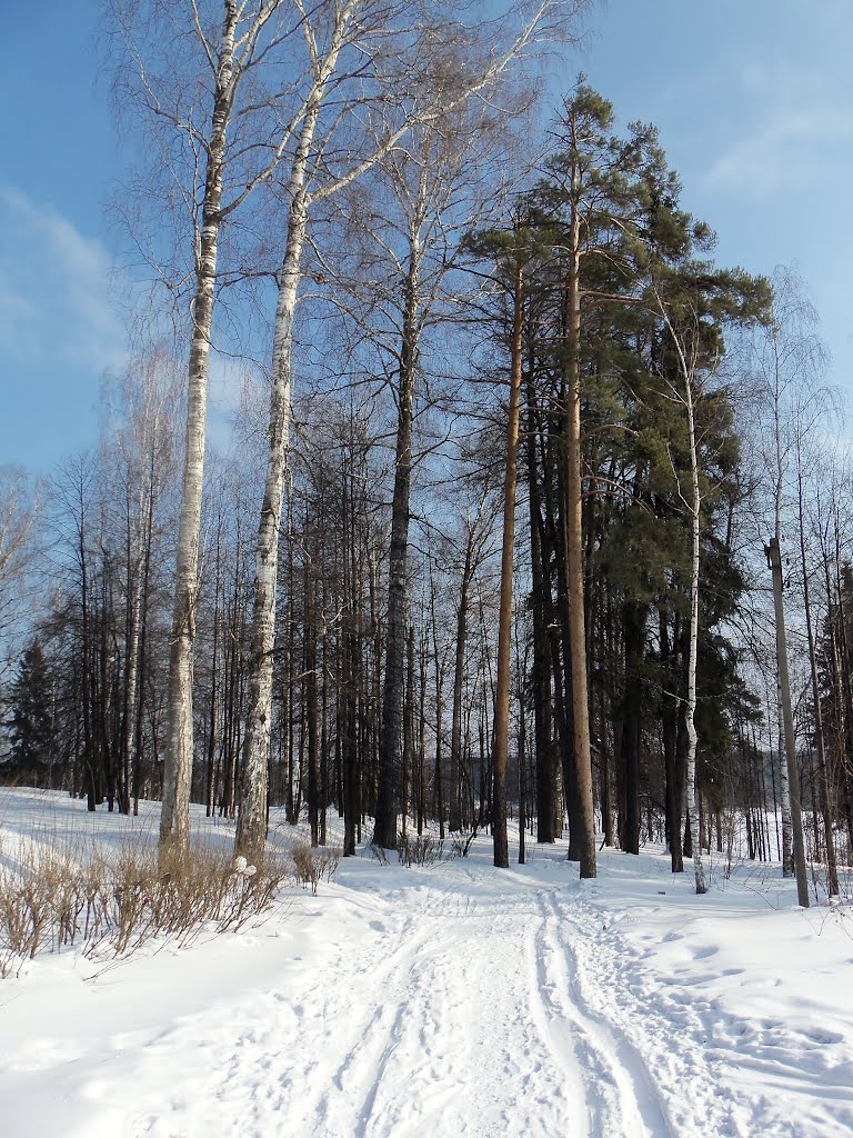 Лыжня в парке, Слободской