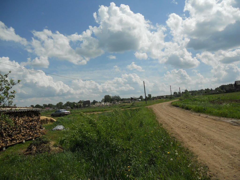 Вид в сторону Фаленской бывшей фермы. Июнь 2010 г., Фаленки