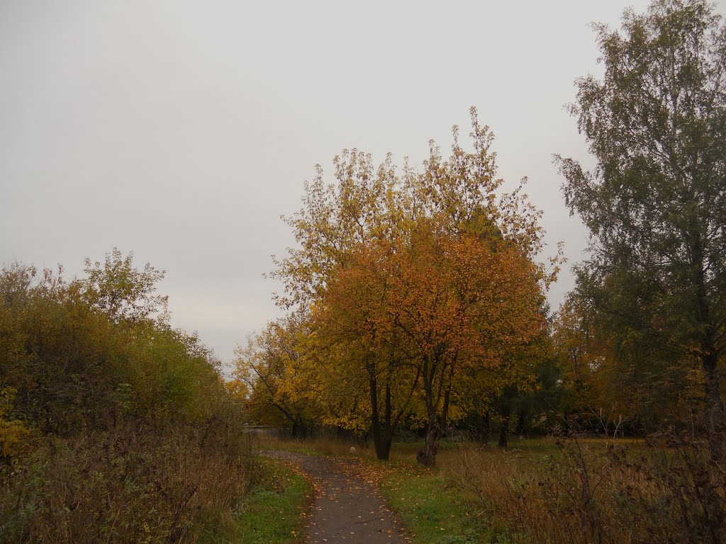 Осенние деревья, Фаленки
