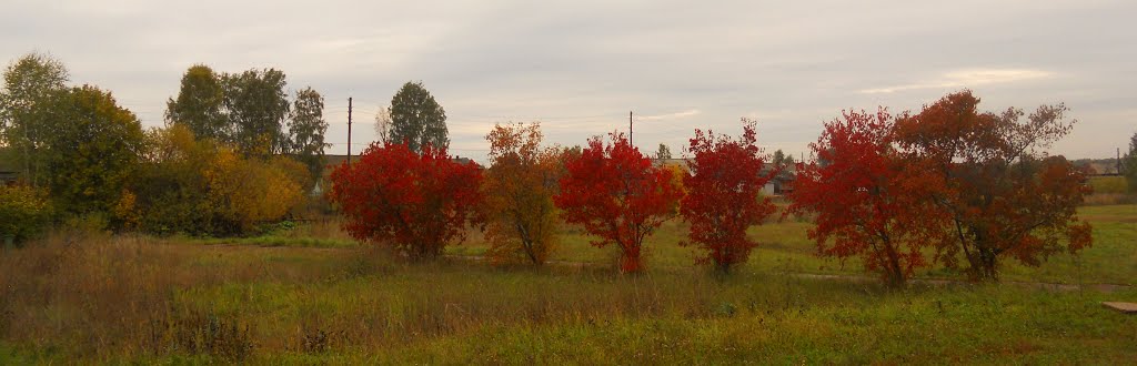 Осенние деревья, Фаленки