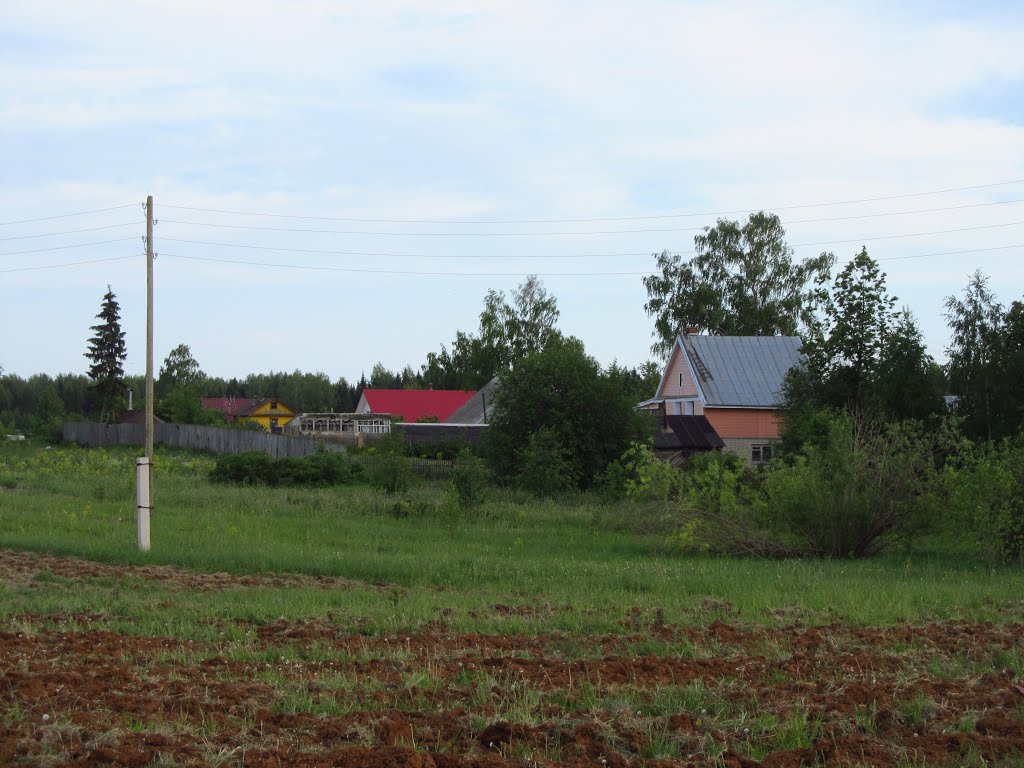 Деревня Кусакины, Халтурин