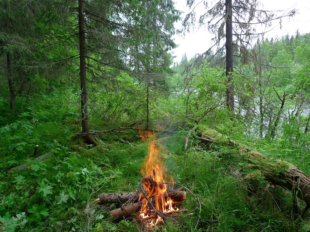 Лесная грелка :: Fire in wood, Водный