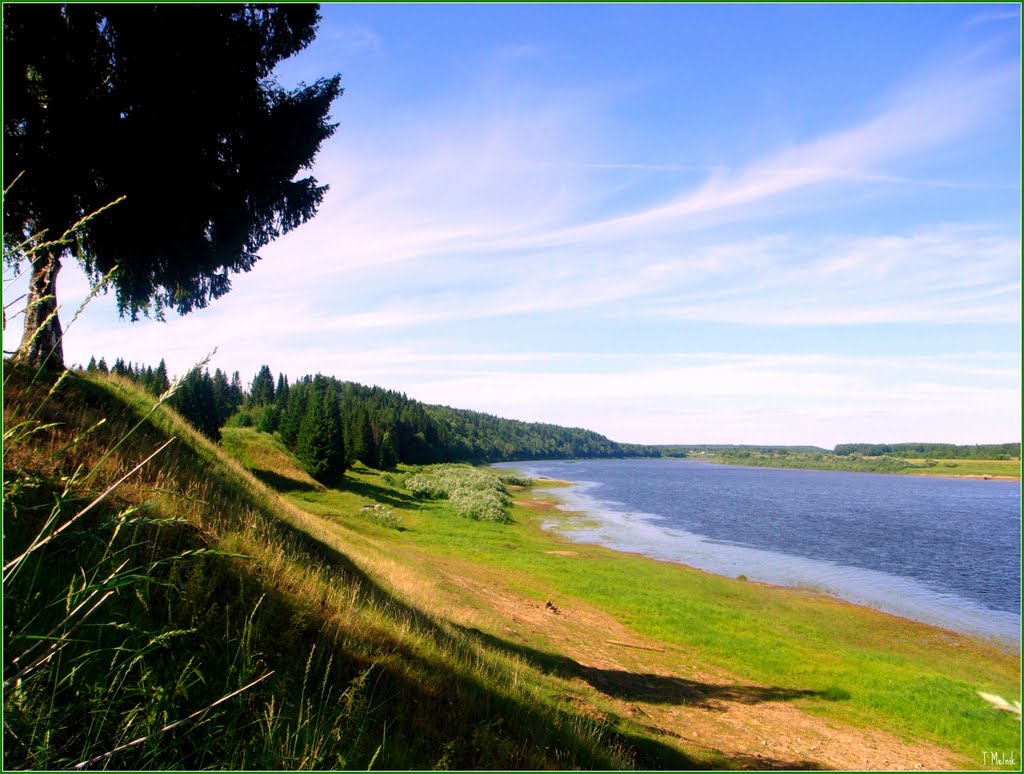 Река Вымь в районе деревни Кошки, Республика Коми, Вожаель
