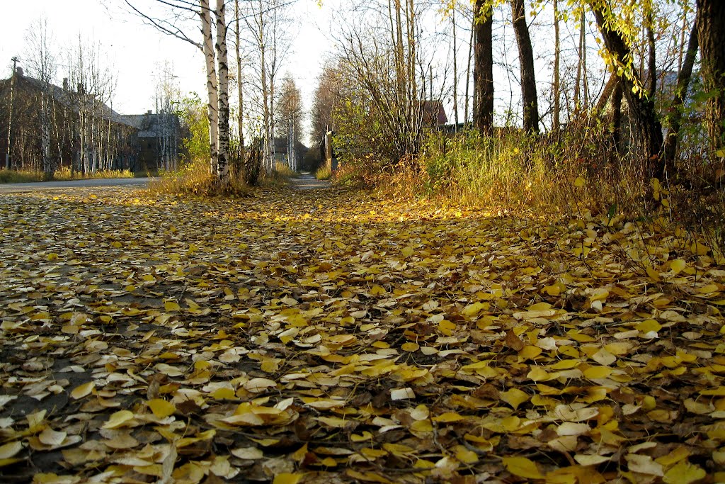 Осенняя листва, Печора