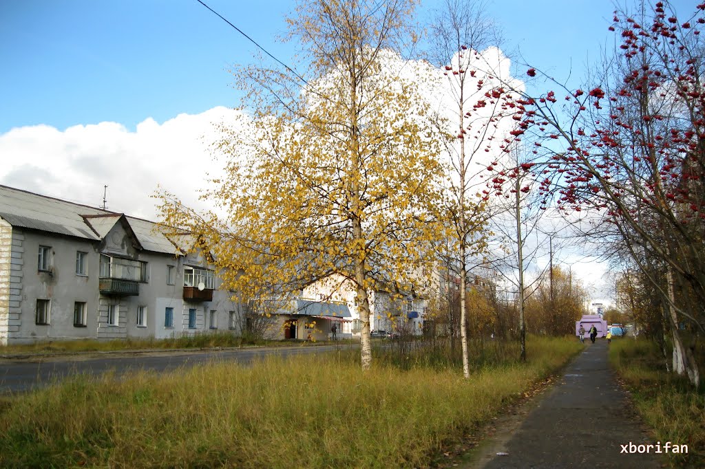 Начало октября 2011, Печора