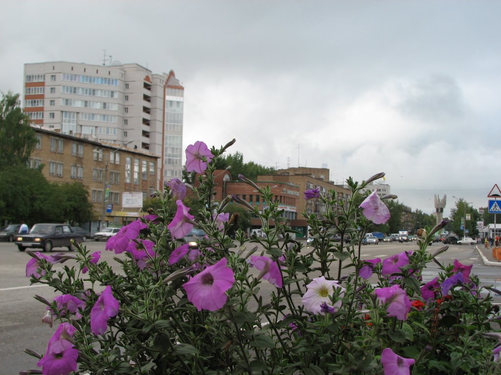 Клумба у пединститута, Сыктывкар