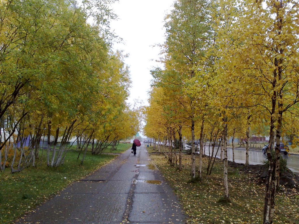 Осень, Усинск