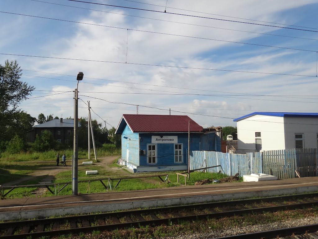 Станция Антропово, Антропово