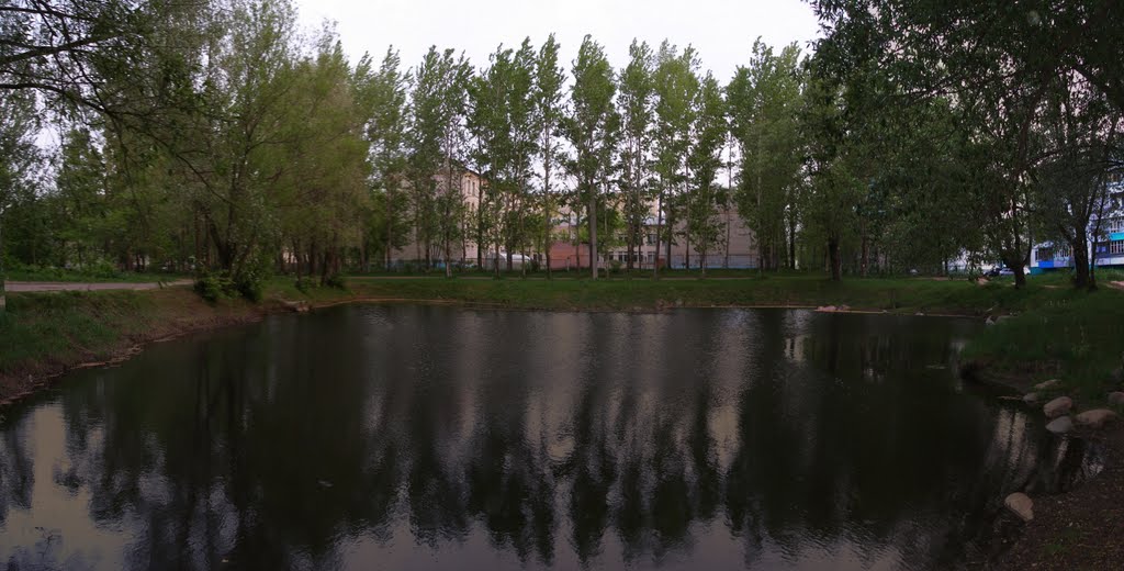 Пруд у 2-й школы, Волгореченск