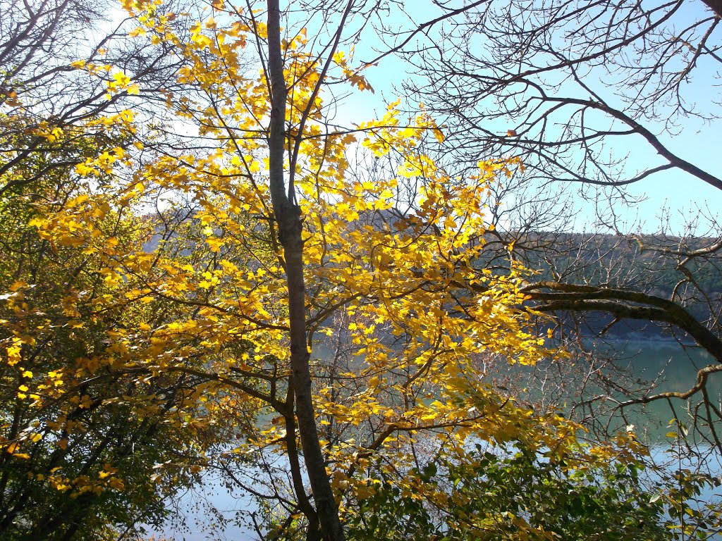 Осень в Абрау / Autumn on lake Abrau, Абрау-Дюрсо