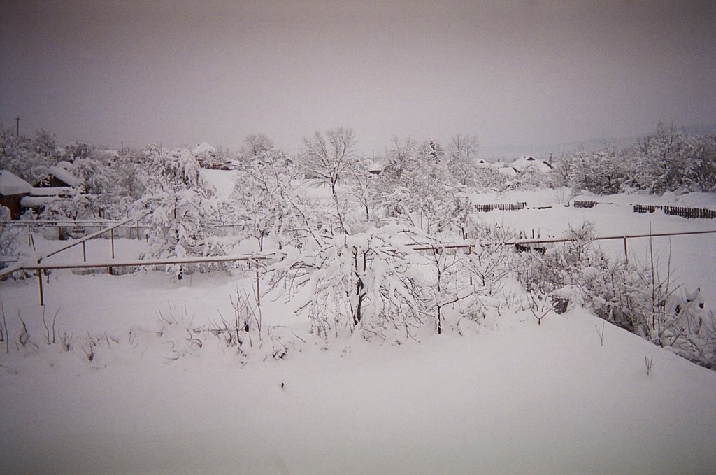 Winter in Apsheronsk, Апшеронск