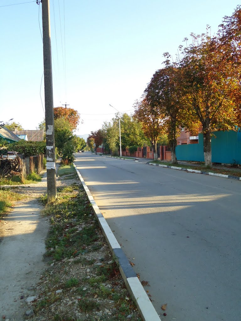 Улица, Архипо-Осиповка