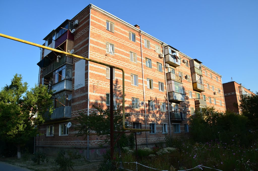 Vlog/Краснодарский край/Куда мы переехали/Афипский - YouTube