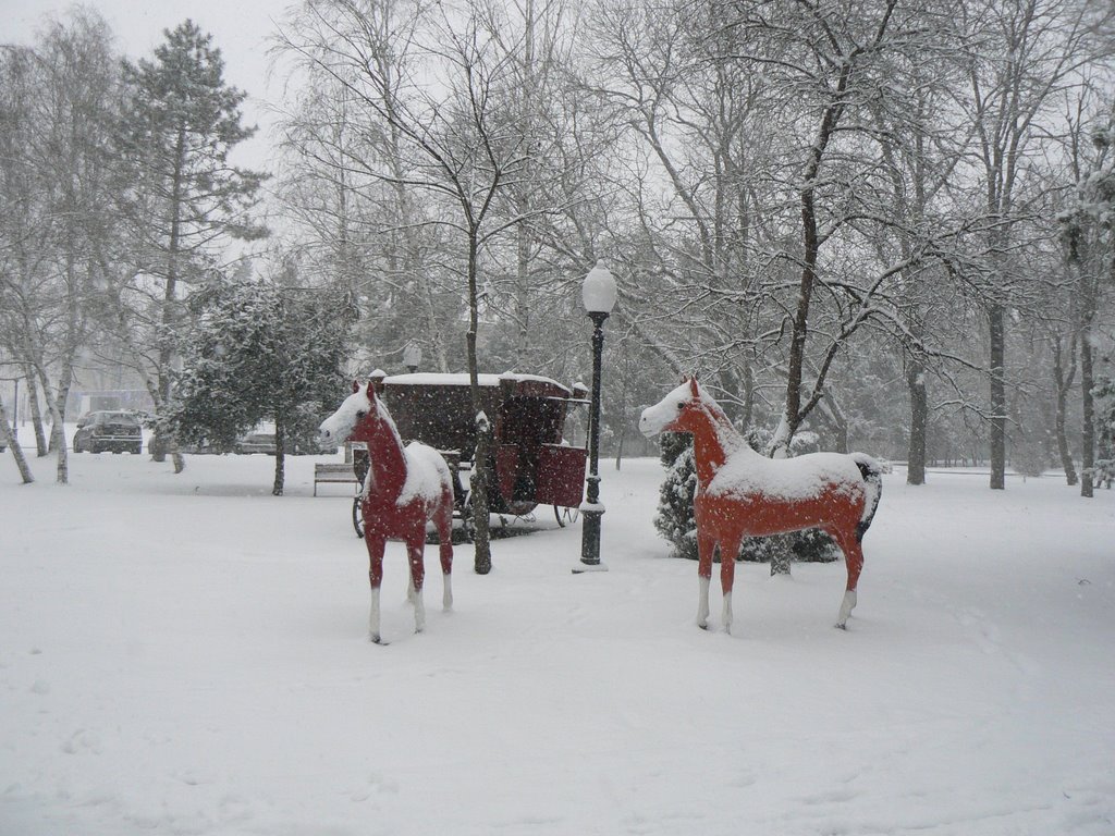 Лошади в парке, Белореченск