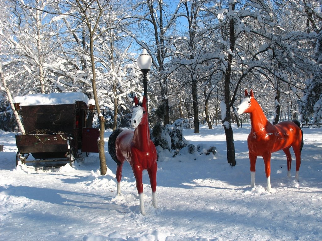 Гор-парк, карета и лошади, 08.01.2009., Белореченск