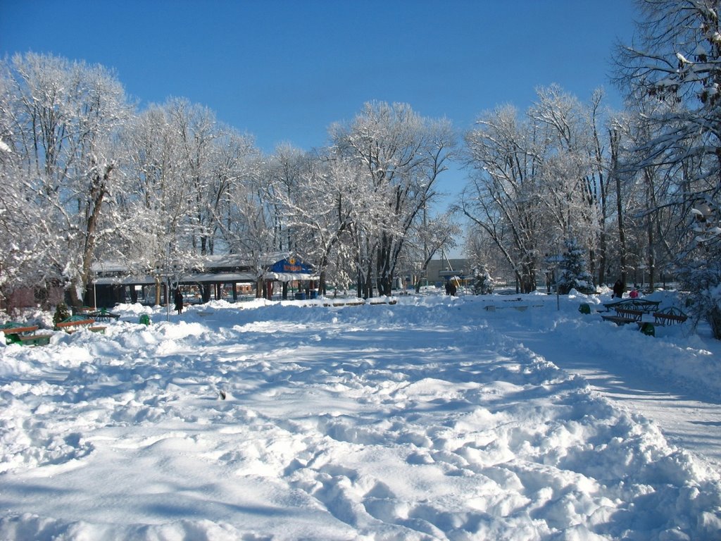 Гор-парк зимой, 08.01.2009., Белореченск