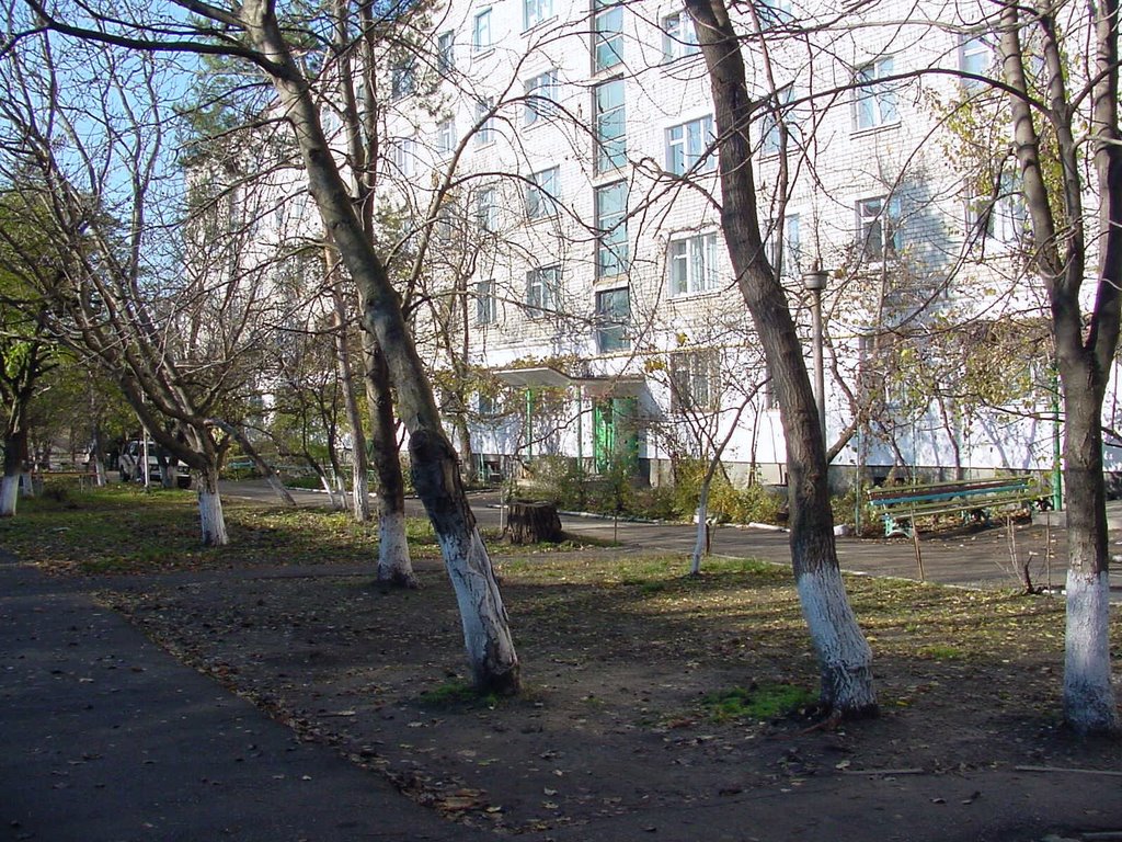 Internazionalaya Street - Belorechensk - Another view, Белореченск