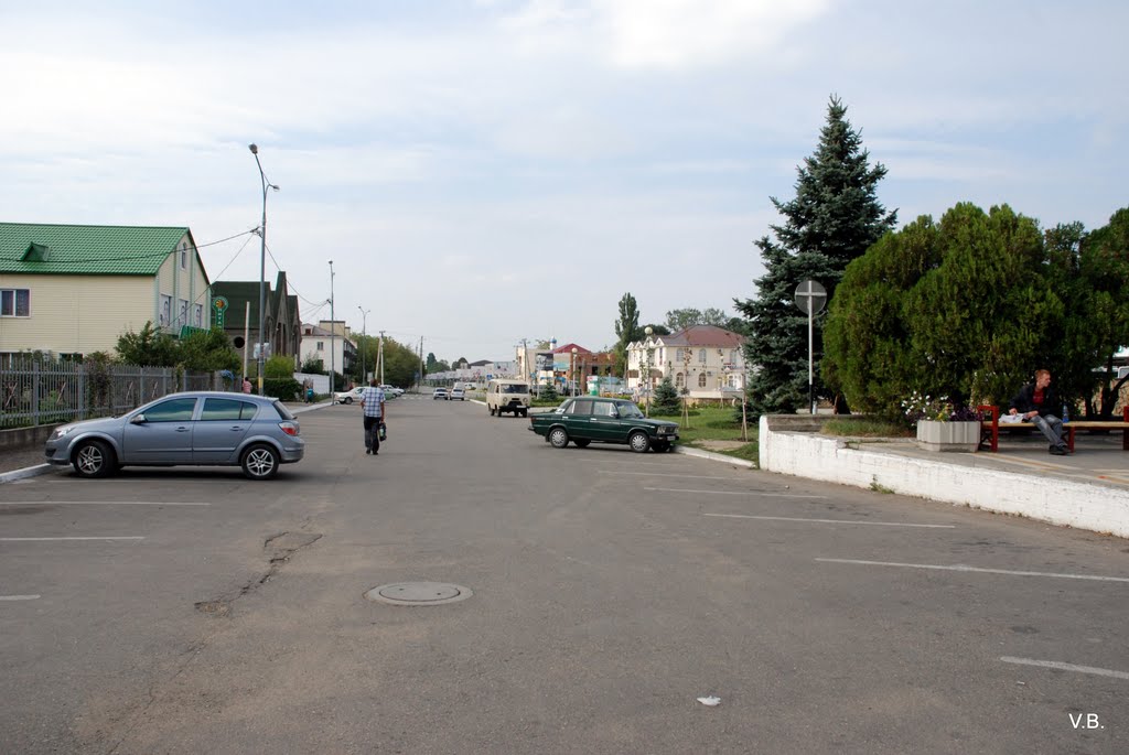 Центральная площадь. Аллея.  Фото Виктора Белоусова., Белореченск