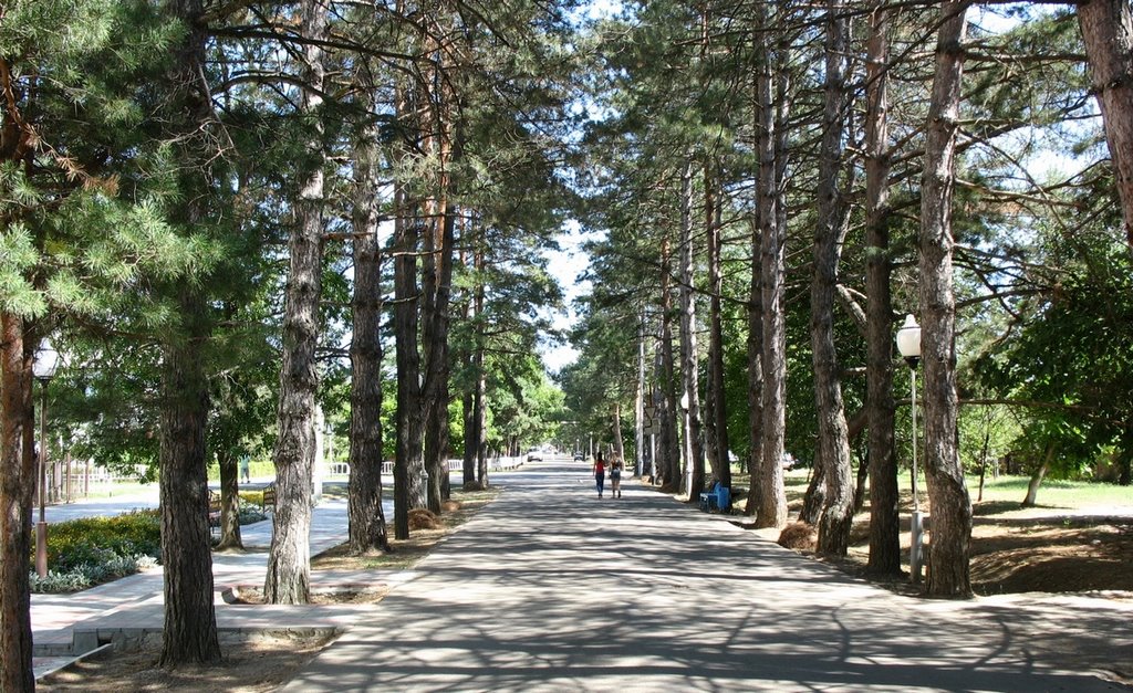 A pine valley, Горячий Ключ