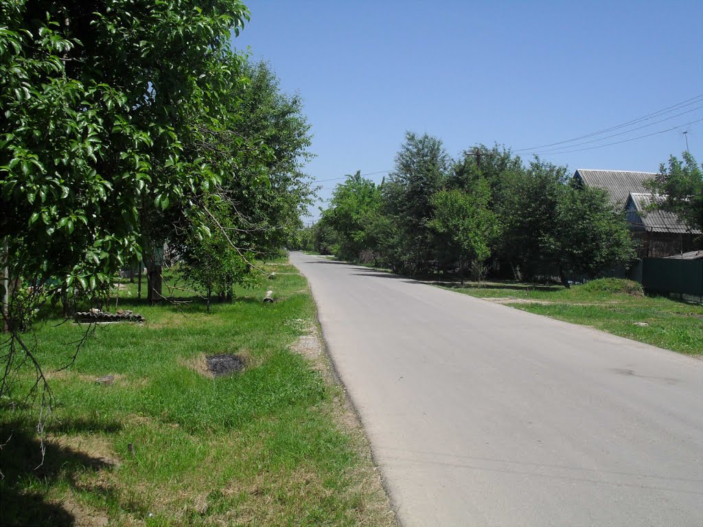 Ильский краснодарский край фото YugNash.ru