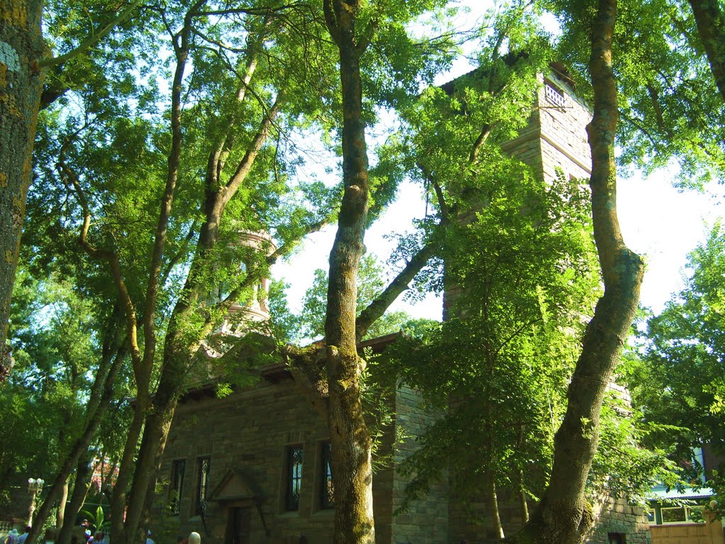 Castle in the Park, Кабардинка