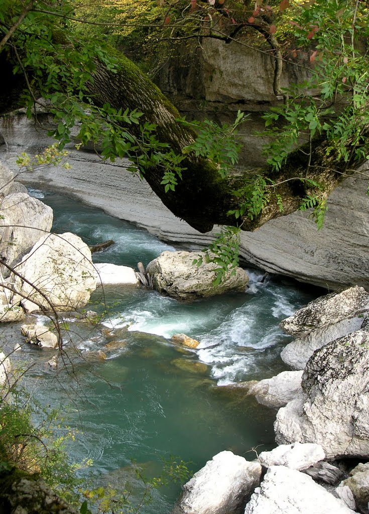 Белая река (Belaya river), Каменномостский