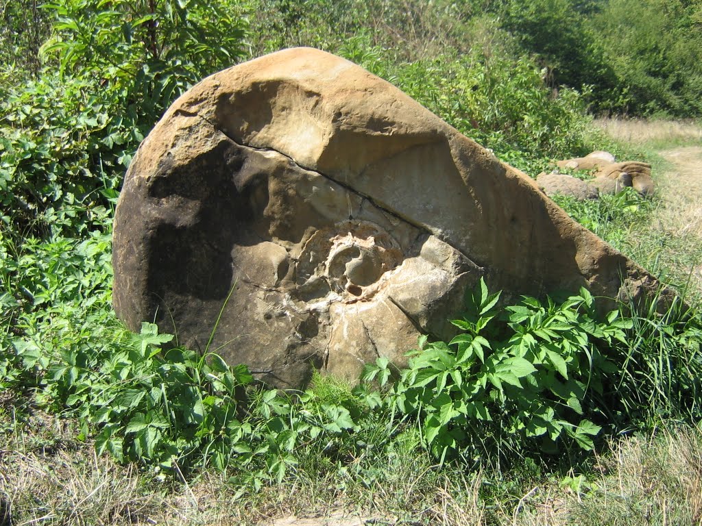 Амонит, Каменномостский