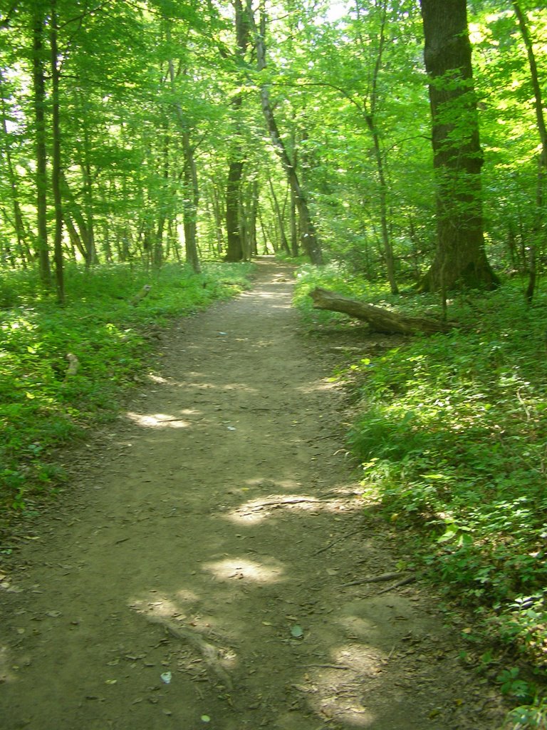 The Trail to Rufabgo, Каменномостский