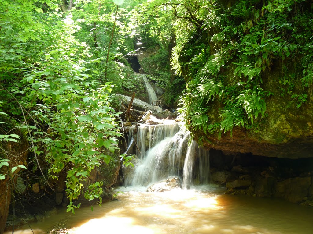 Лесной водопад., Каменномостский