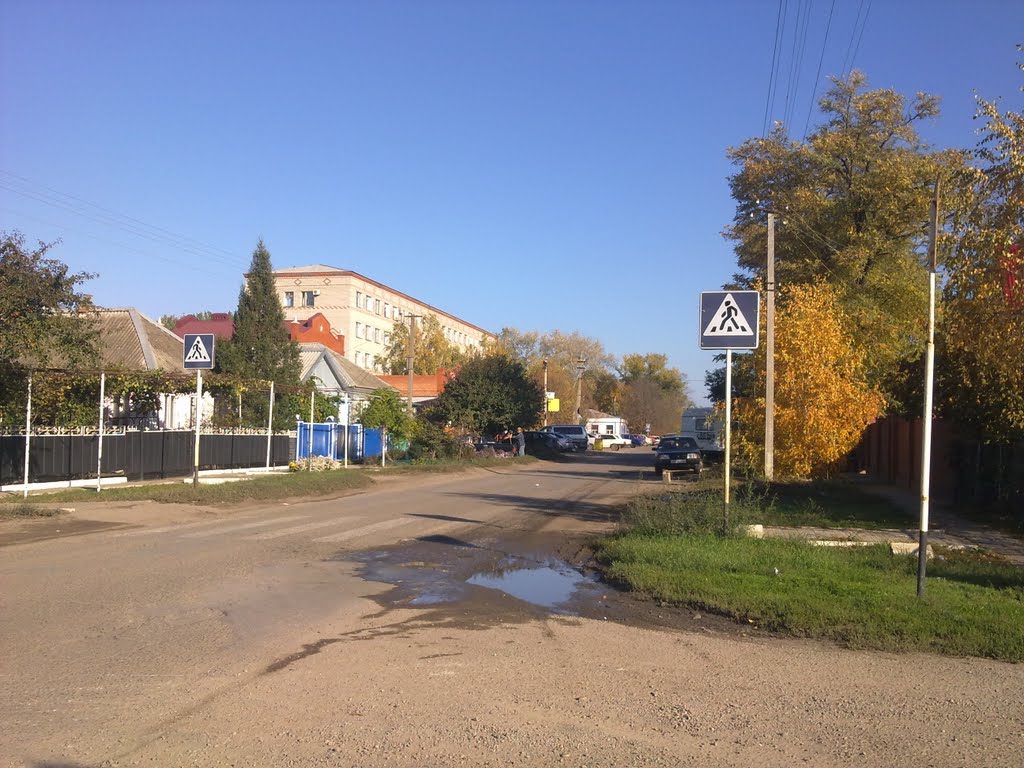Улица Больничная, вид на поликлинику (25.10.2010), Каневская