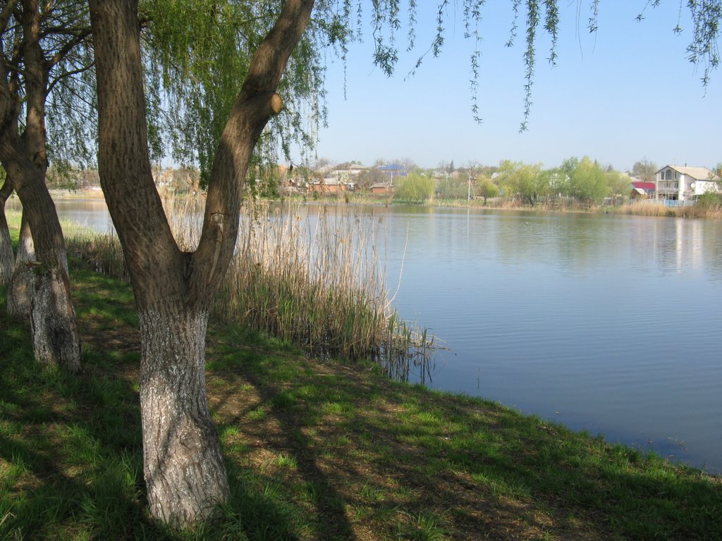 Парк у реки, город Кореновск, Кореновск