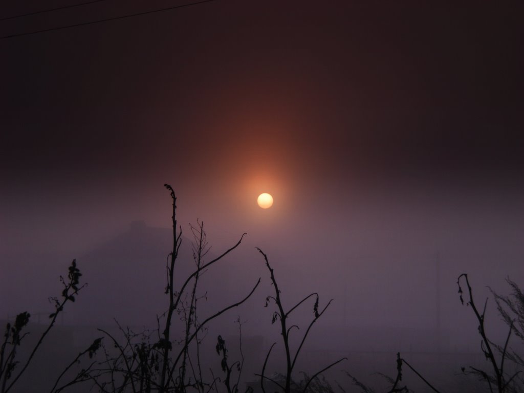 туман, Кореновск