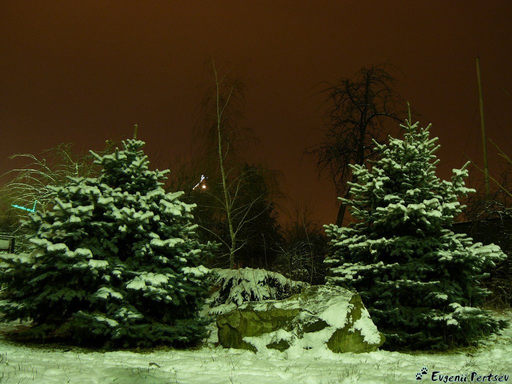 Зимний дворик..., Краснодар